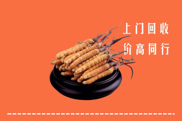 高价求购：西安市长安区回收散虫草
